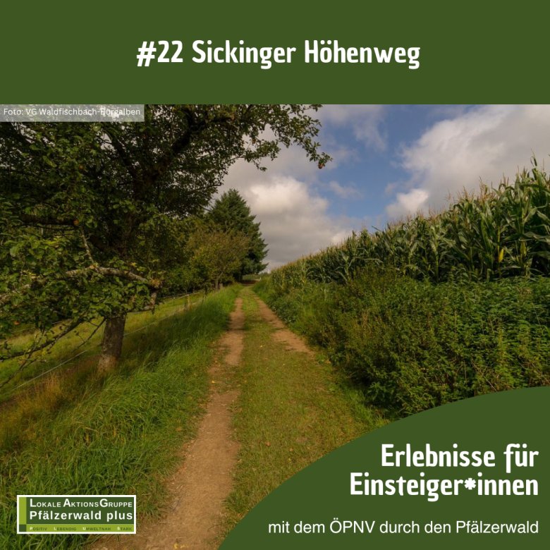 AG Tourismus #23 Sickinger - 1 AG Tourismus #23 Sickinger - 1