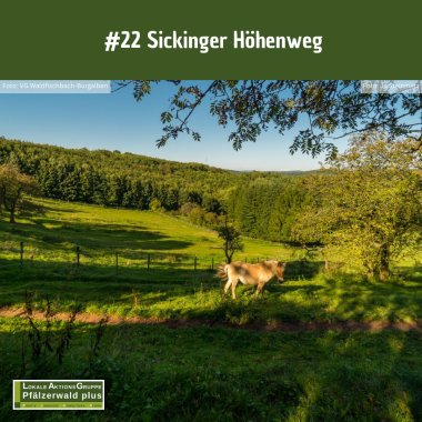 AG Tourismus #23 Sickinger - 2