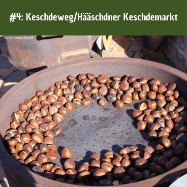 AG Tourismus #4 - 2
