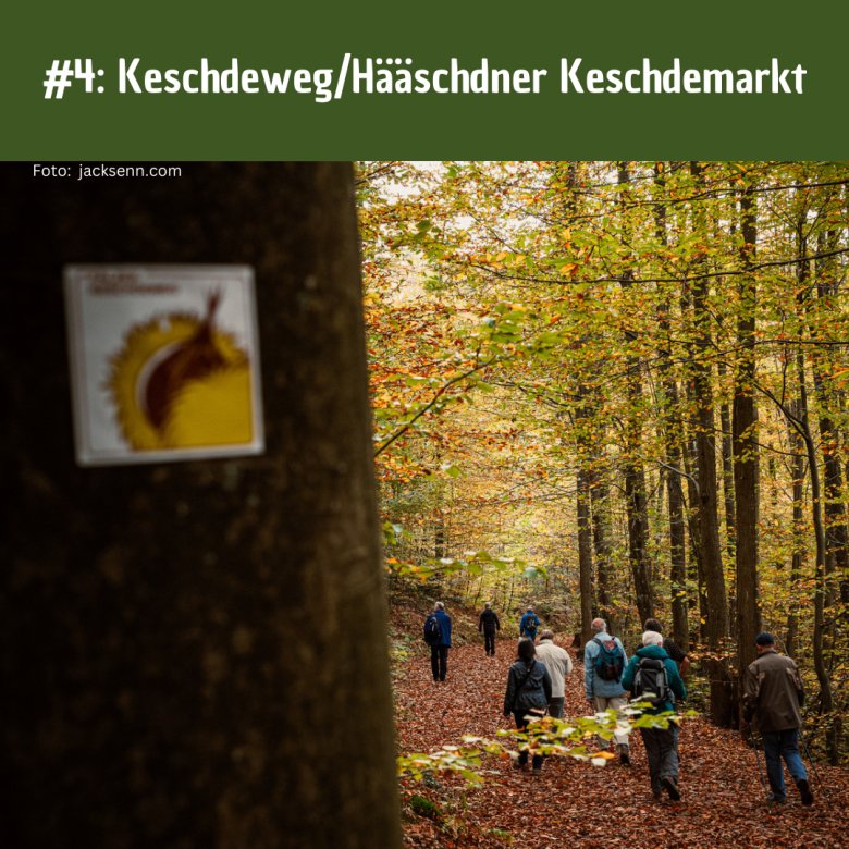 AG Tourismus #4 - 3