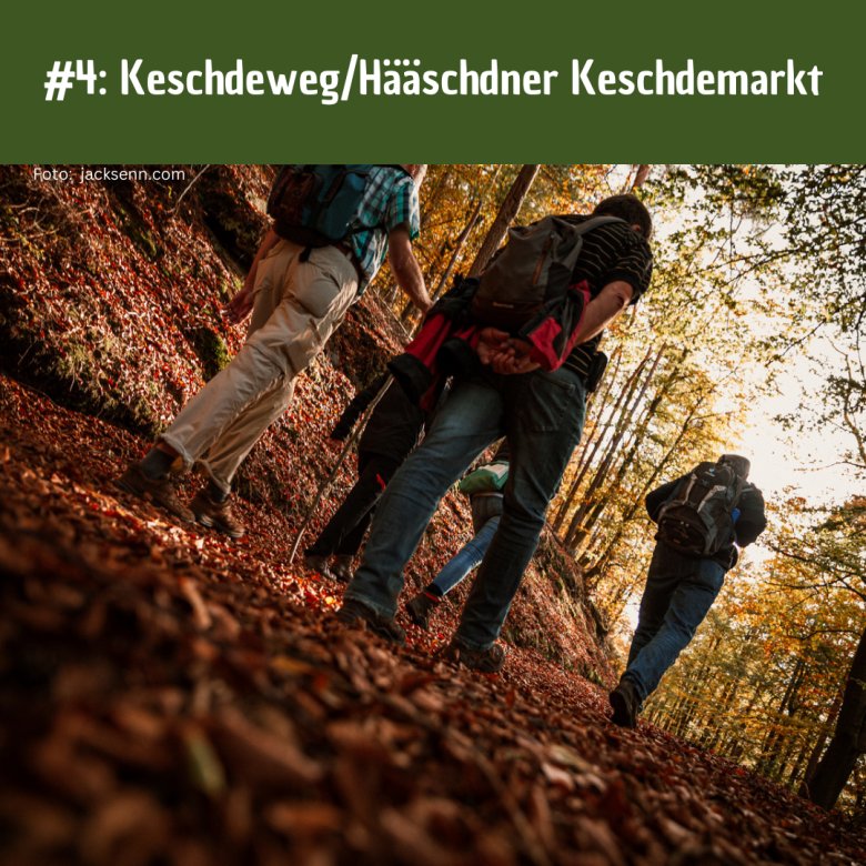 AG Tourismus #4 - 4